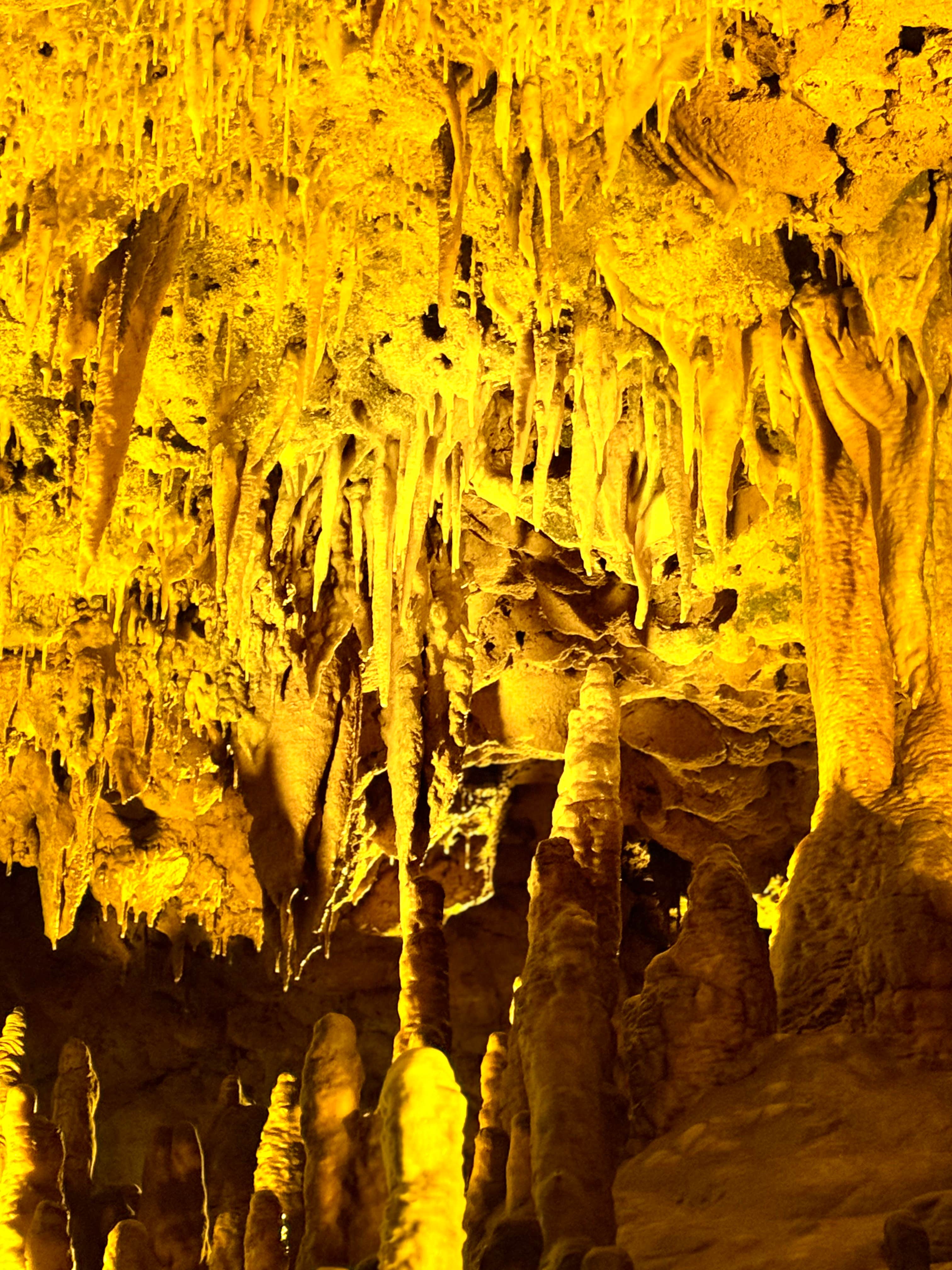 Camper-submitted photo at Florida Caverns RV Resort near Sneads, FL