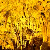Review photo of Florida Caverns RV Resort by Bille W., June 11, 2025