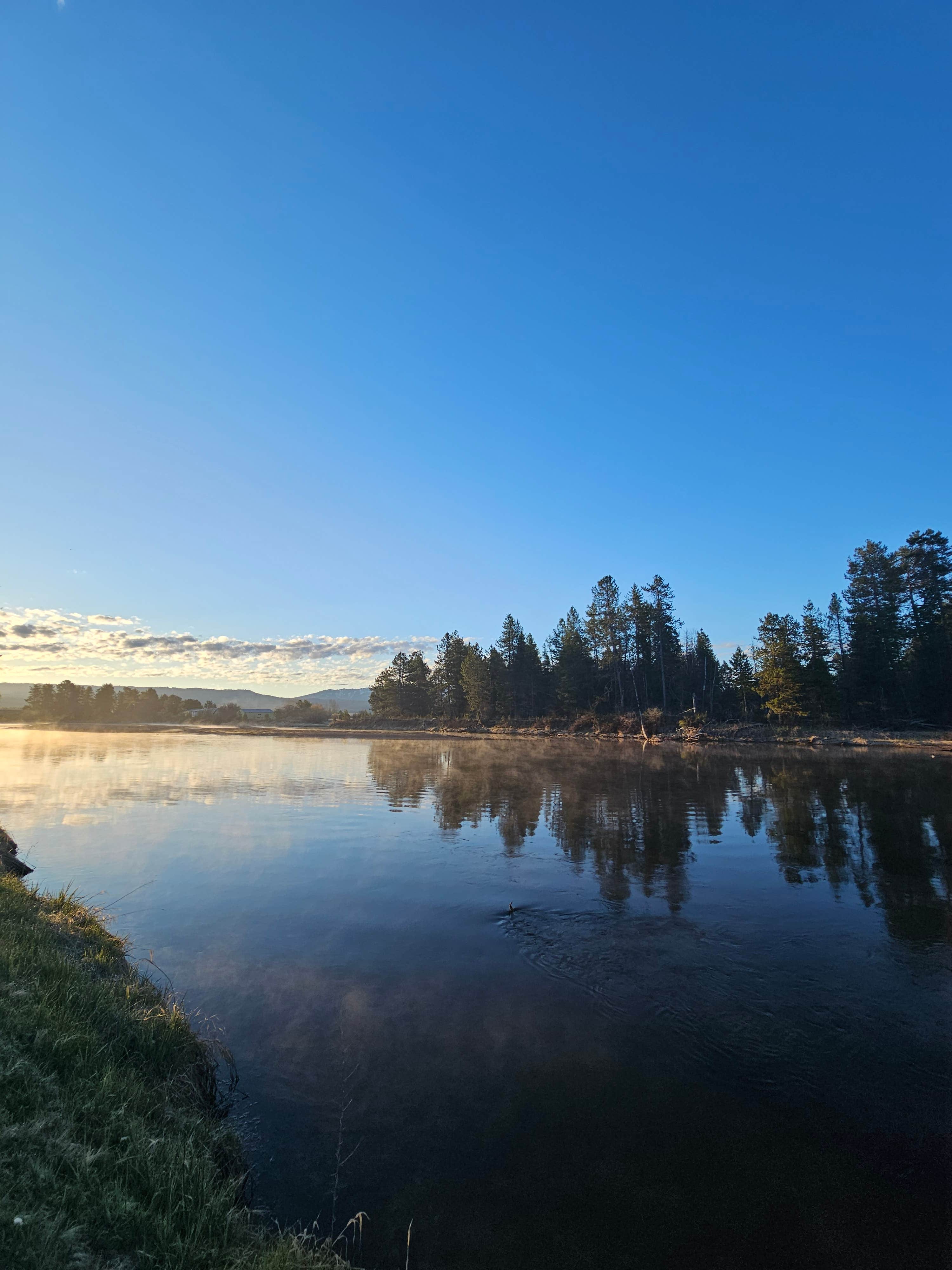 Camper submitted image from Arrowhead RV Park on the River - 2