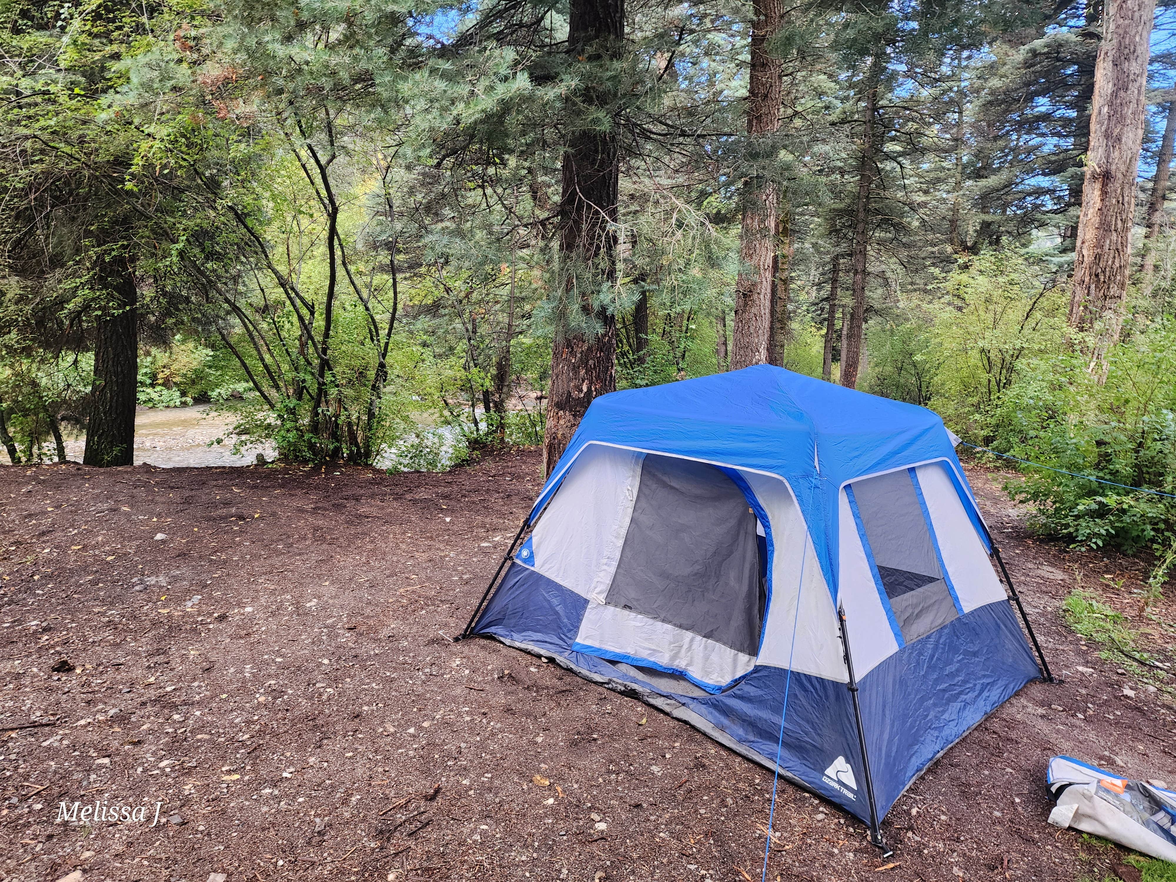 Camper-submitted photo at Arroyo Seco Dispersed NF Camping near Red River, NM