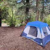 Review photo of Arroyo Seco Dispersed NF Camping by Melissa J., September 18, 2024