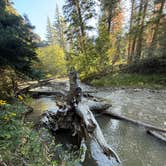 Review photo of Arroyo Seco Dispersed NF Camping by Jem S., July 24, 2026