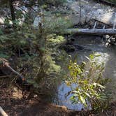 Review photo of Arroyo Seco Dispersed NF Camping by Jem S., July 24, 2026