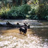 Review photo of Arroyo Seco Dispersed NF Camping by Melissa J., September 18, 2024