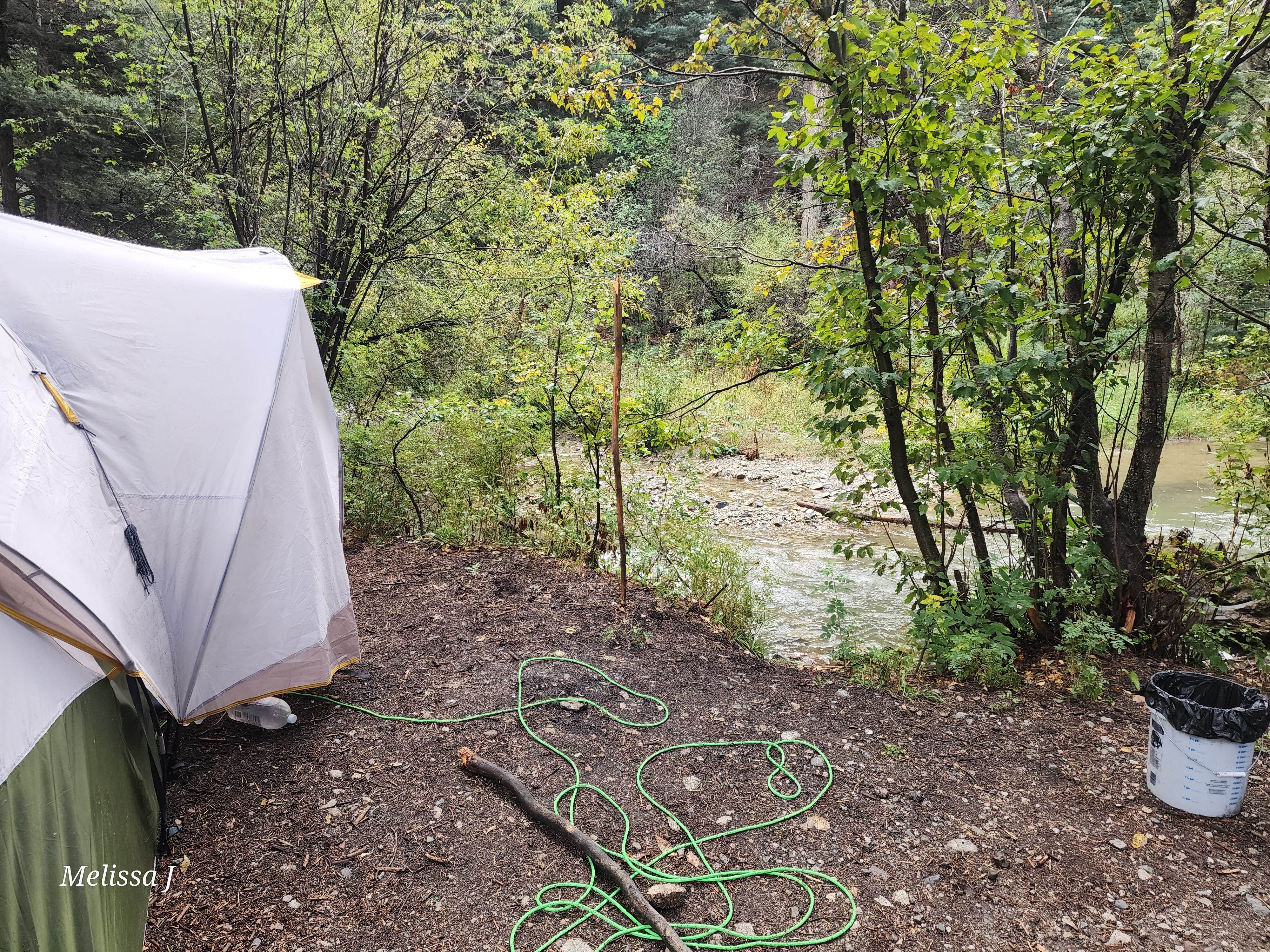 Camper-submitted photo at Arroyo Seco Dispersed NF Camping near Red River, NM