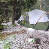 Review photo of Arroyo Seco Dispersed NF Camping by Melissa J., September 18, 2024