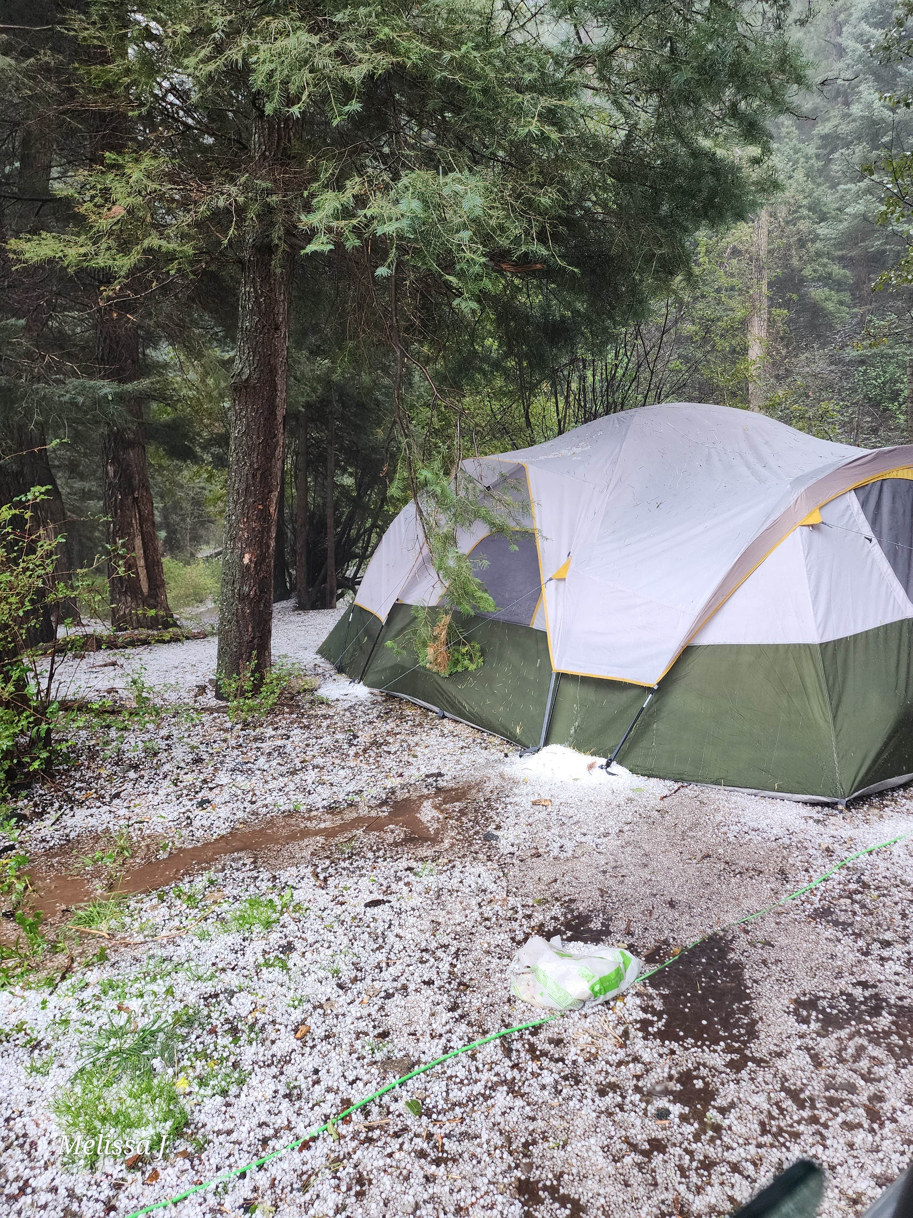 Camper submitted image from Arroyo Seco Dispersed NF Camping - 5