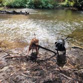 Review photo of Arroyo Seco Dispersed NF Camping by Melissa J., September 18, 2024