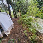 Review photo of Arroyo Seco Dispersed NF Camping by Melissa J., September 18, 2024