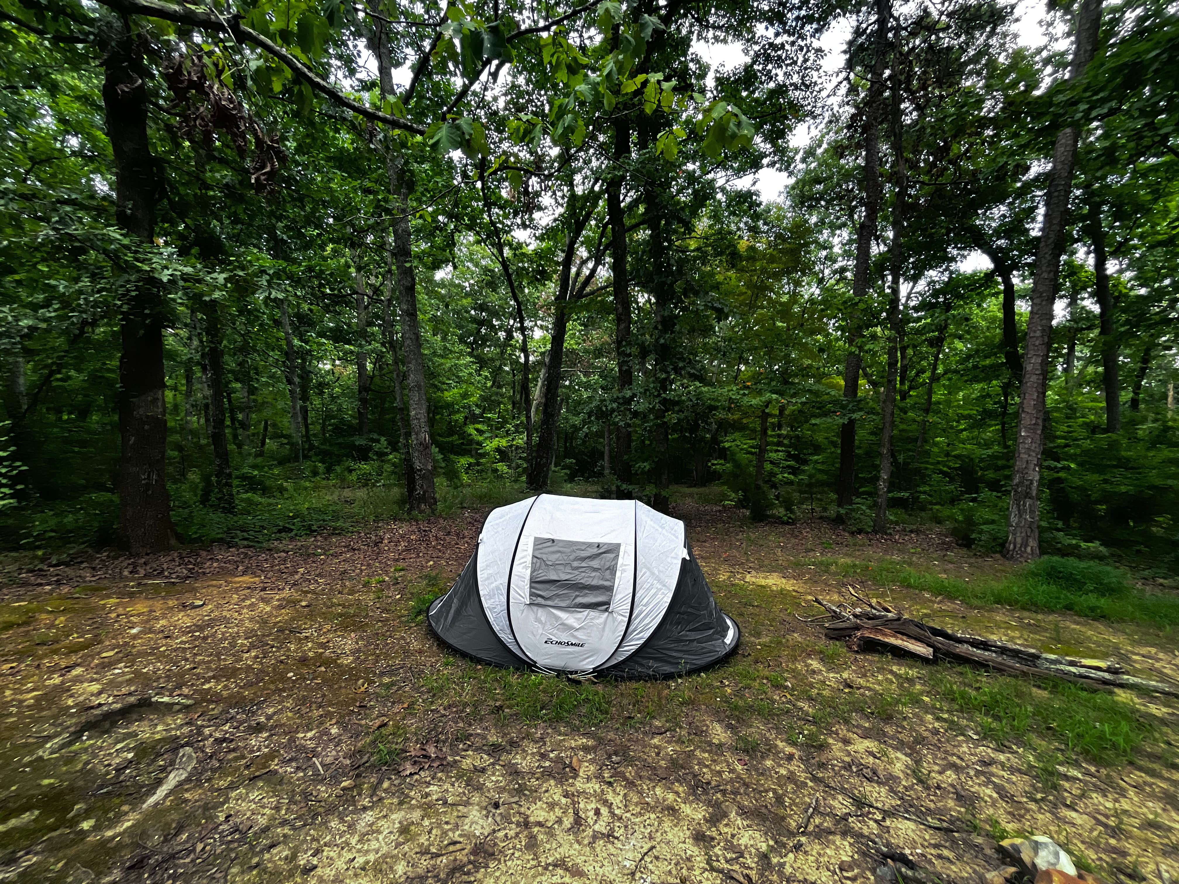 Jeff B.'s photo at Art Lilley Campground near Locust, NC
