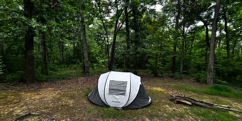 Camper submitted image from Art Lilley Campground
