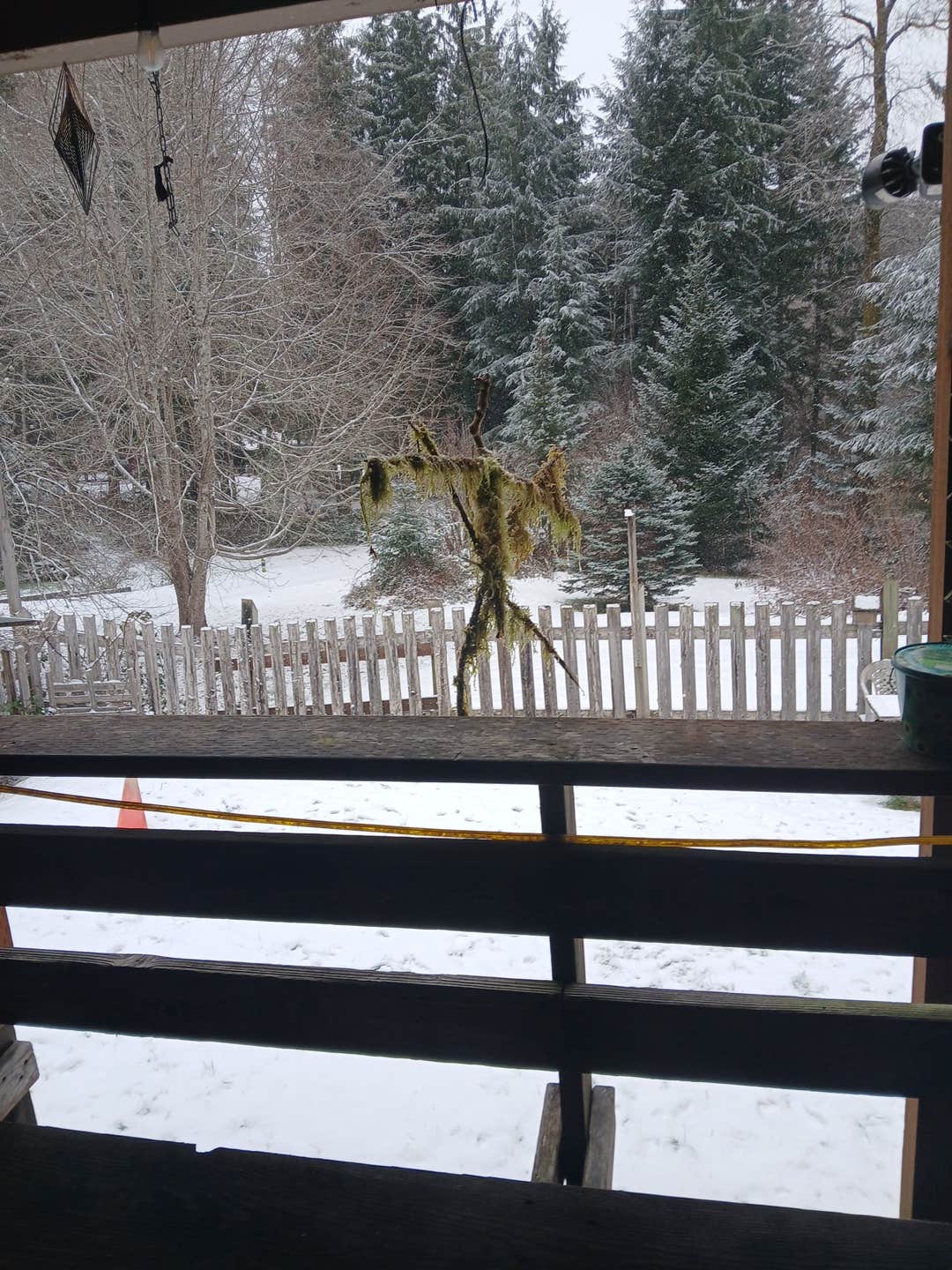 Camper-submitted photo at Artic Park near Aberdeen, WA