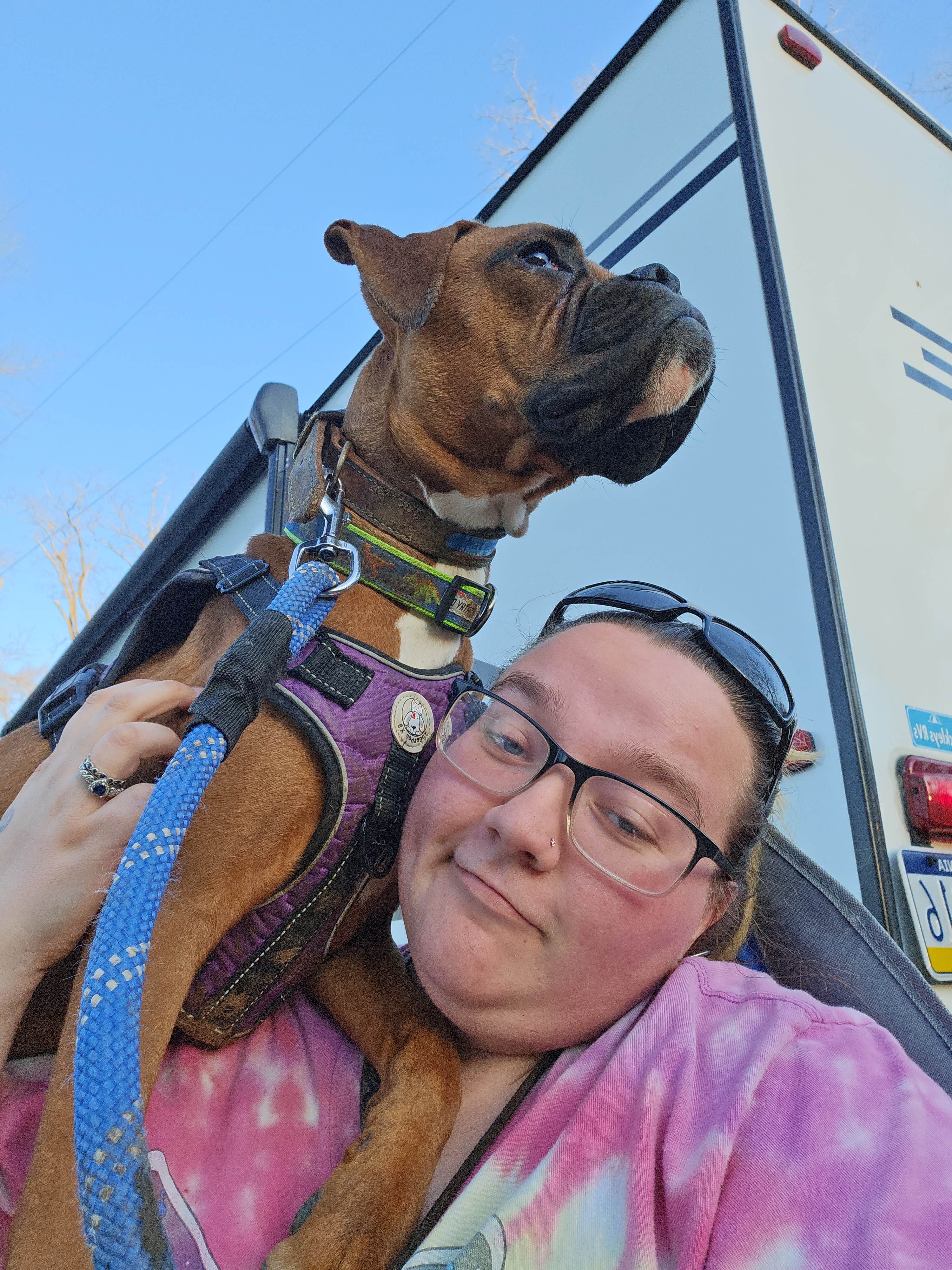 lakota M.'s photo of camping with pets at Artillery Ridge Campground near Wellsville, PA