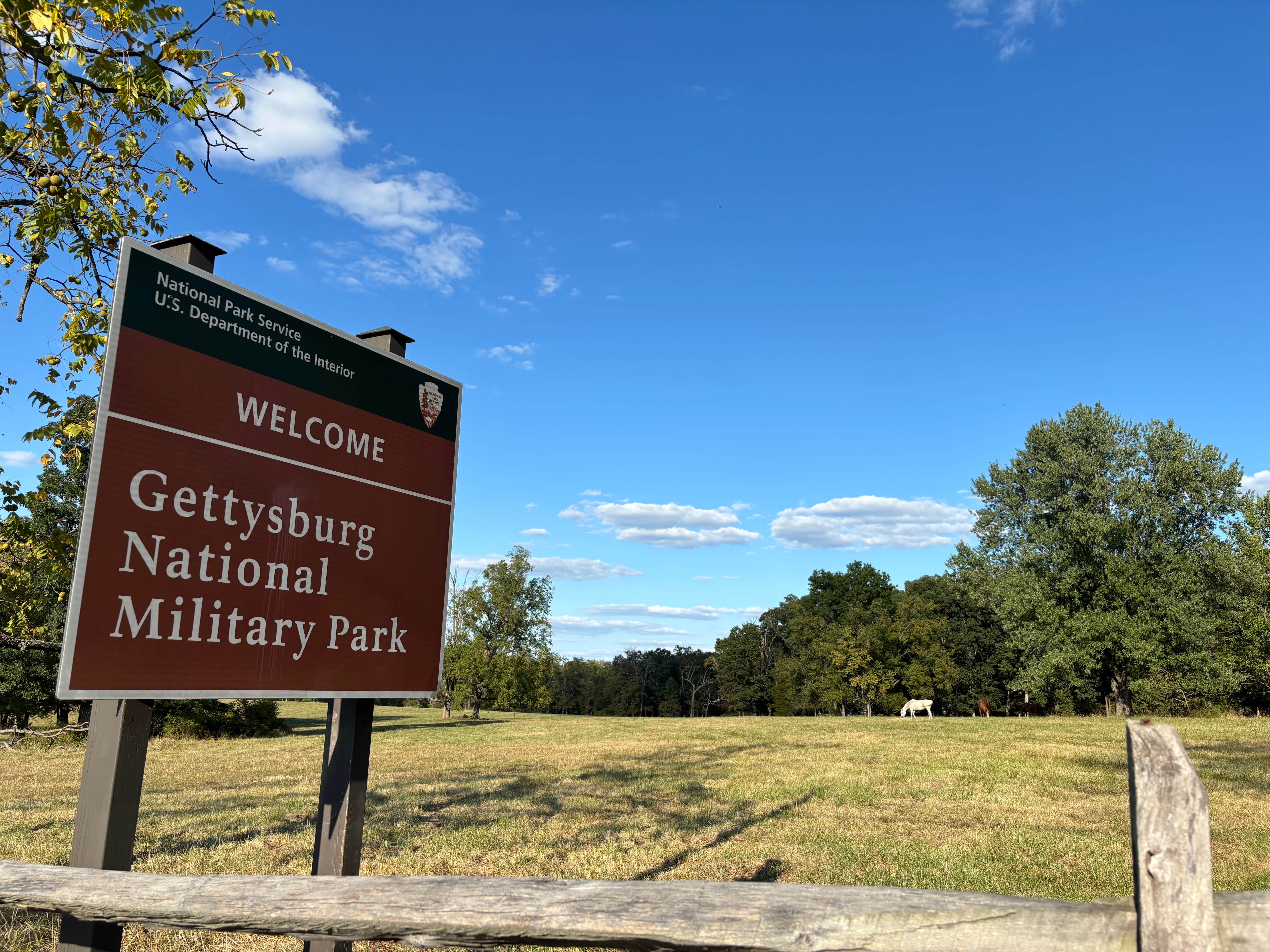 Justine I.'s photo of camping with a horse at Artillery Ridge Campground near Hanover, PA