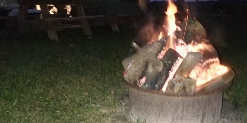 Camper submitted image from Art's Country Park