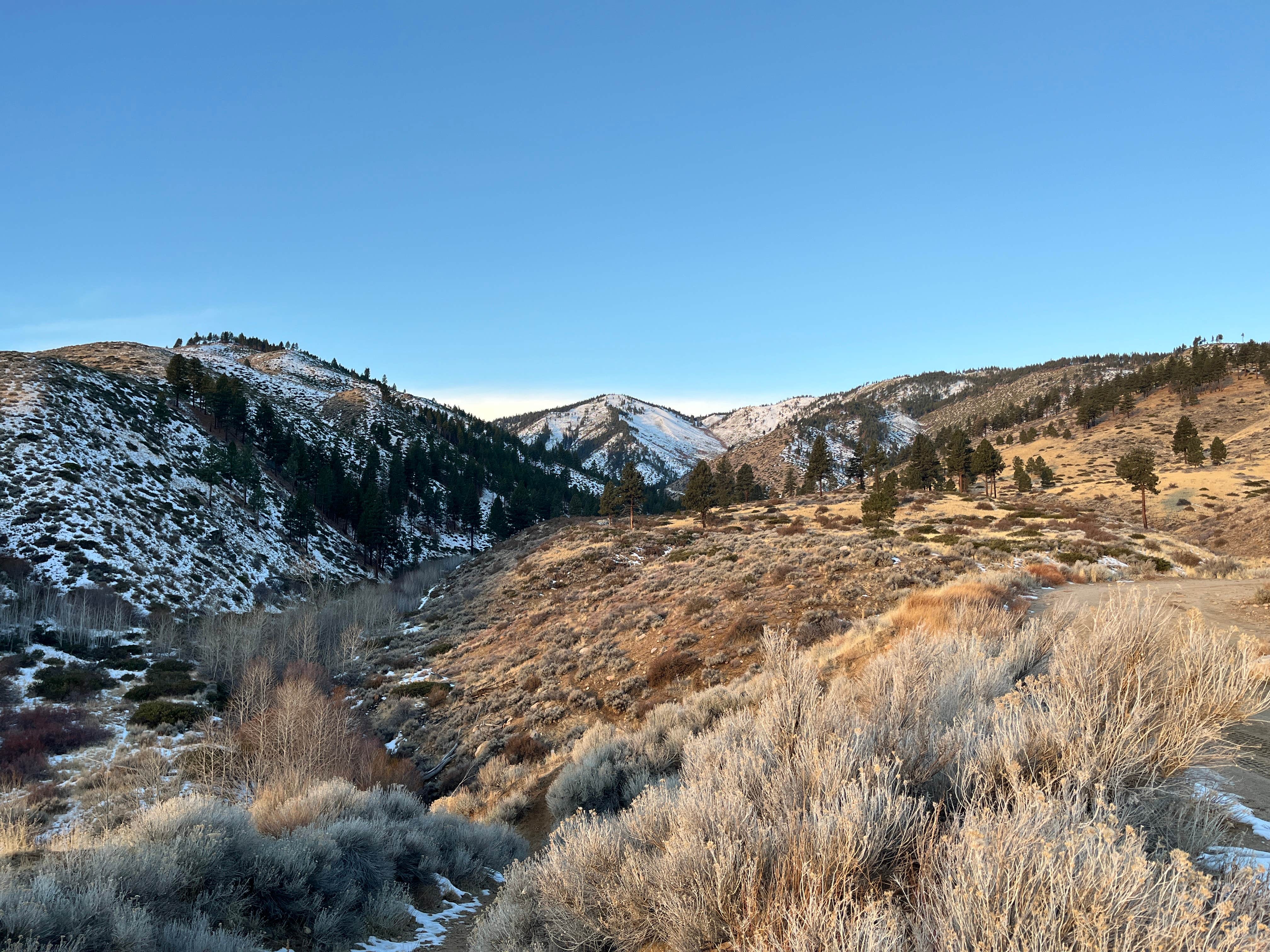 Camper submitted image from Ash Canyon Creek Trailhead - 1