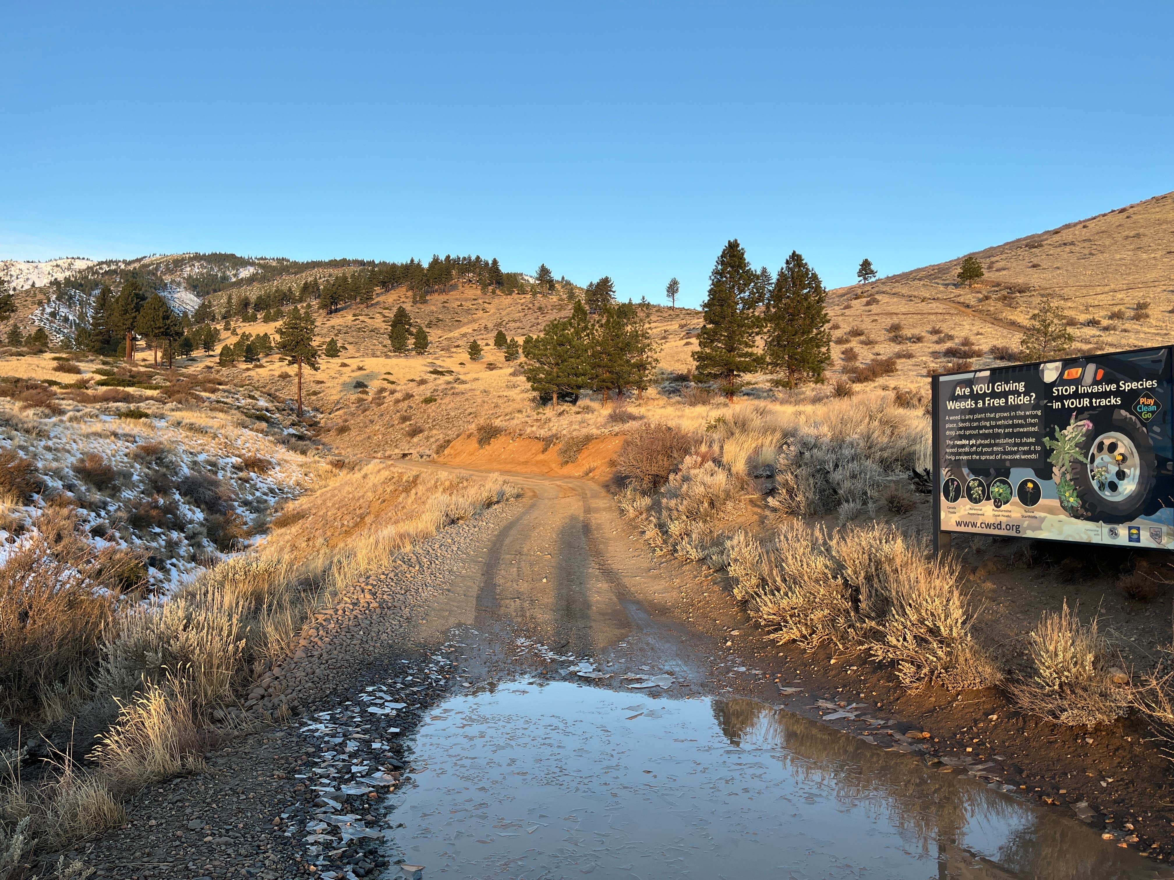 Camper submitted image from Ash Canyon Creek Trailhead - 3