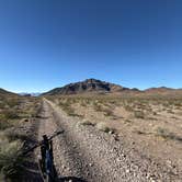 Review photo of Ash Meadows Dispersed Camping by Andy A., February 3, 2026