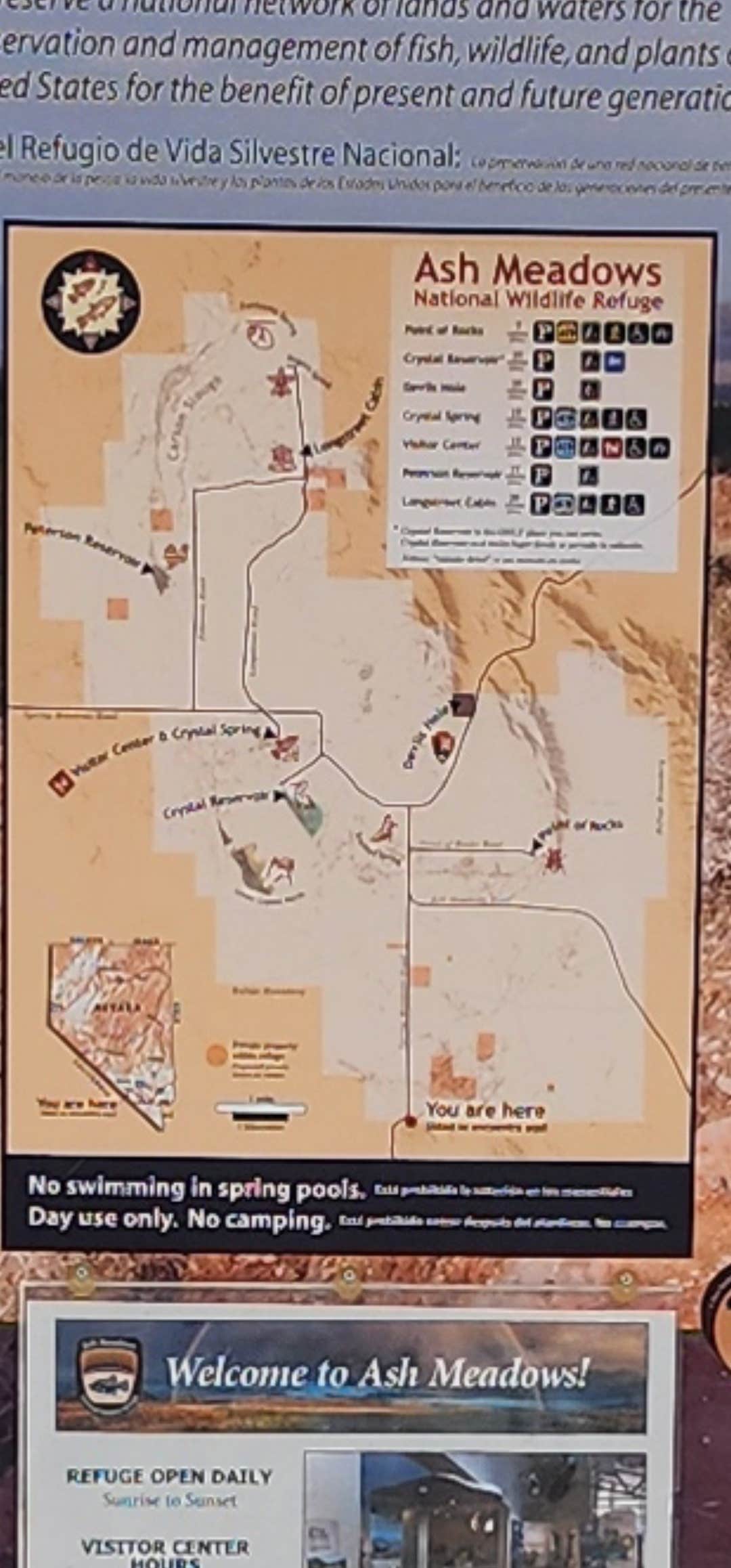 Camper-submitted photo at Ash Meadows Dispersed Camping near Pahrump, NV