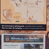 Review photo of Ash Meadows Dispersed Camping by Sue B., March 10, 2024