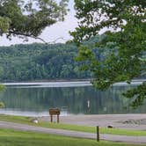 Review photo of Asher Creek Campground — Lake Wappapello State Park by Rusty C., June 24, 2026