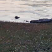 Review photo of Asher Creek Campground — Lake Wappapello State Park by John R., October 22, 2024