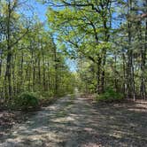 Review photo of Asher Trail by Kyle P., April 22, 2026