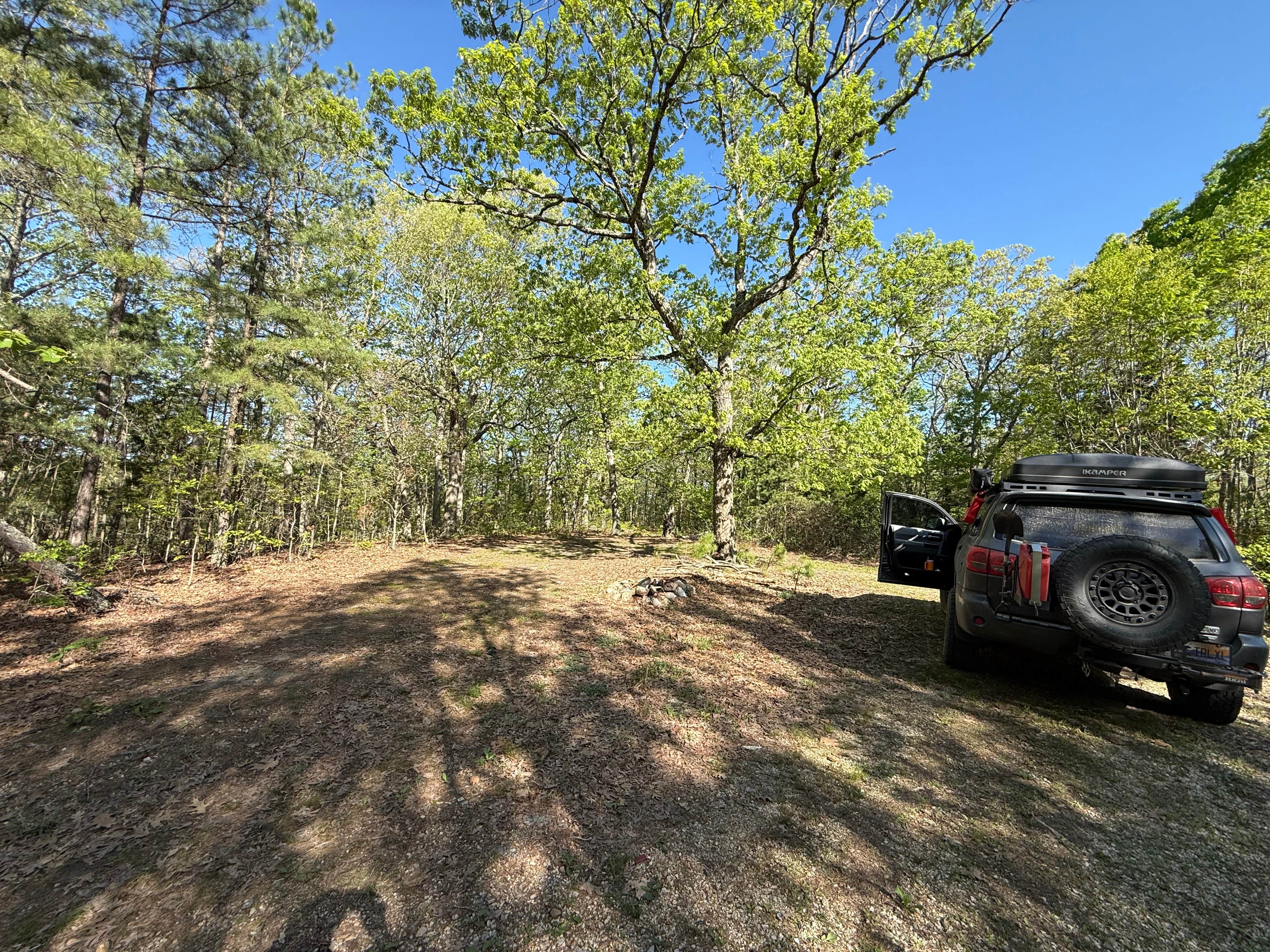 Camper-submitted photo at Asher Trail near Wappapello Lake