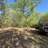 Review photo of Asher Trail by Kyle P., April 22, 2026