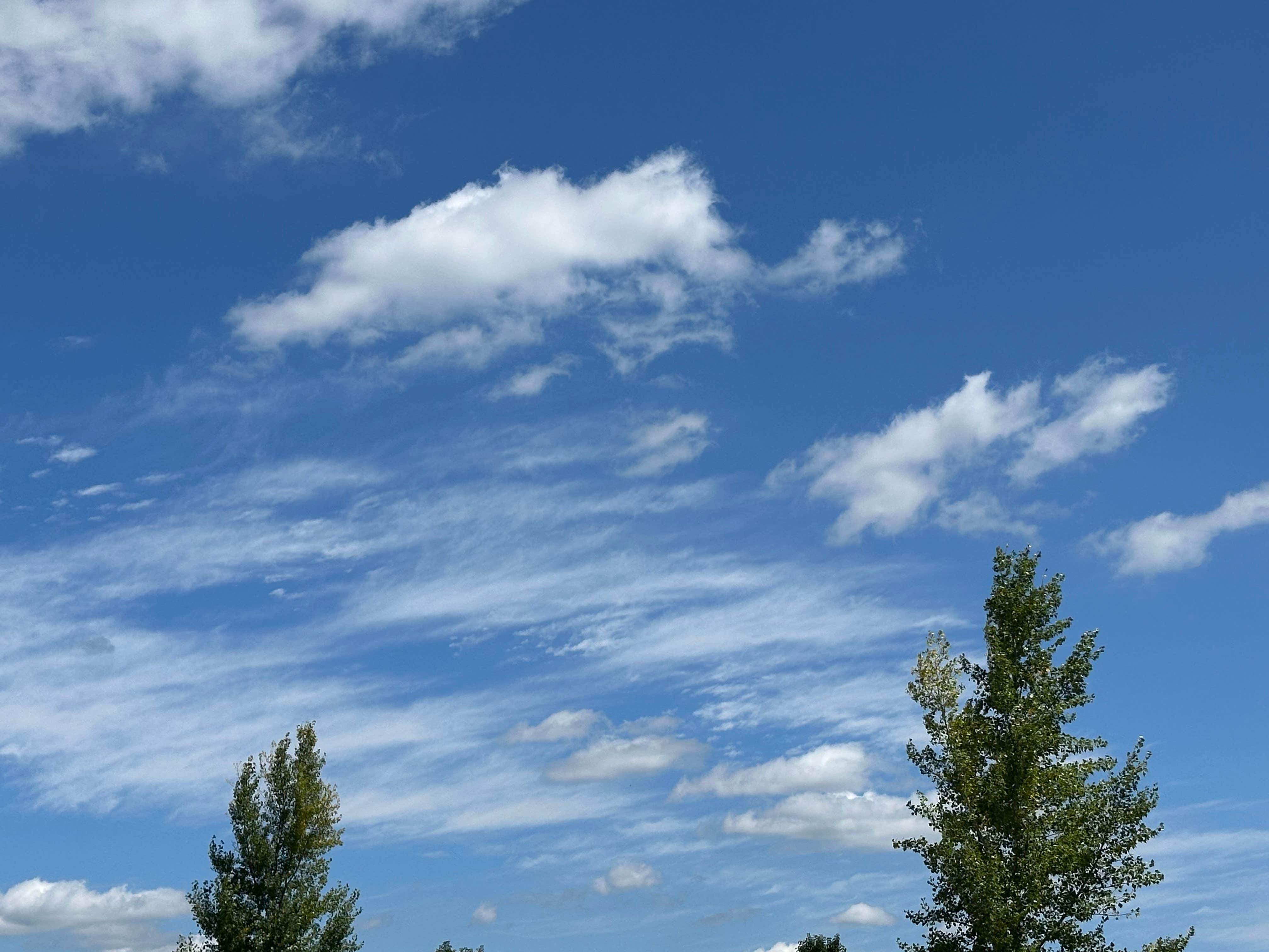 Camper-submitted photo at Ashland Huntington West KOA near Paintsville, KY