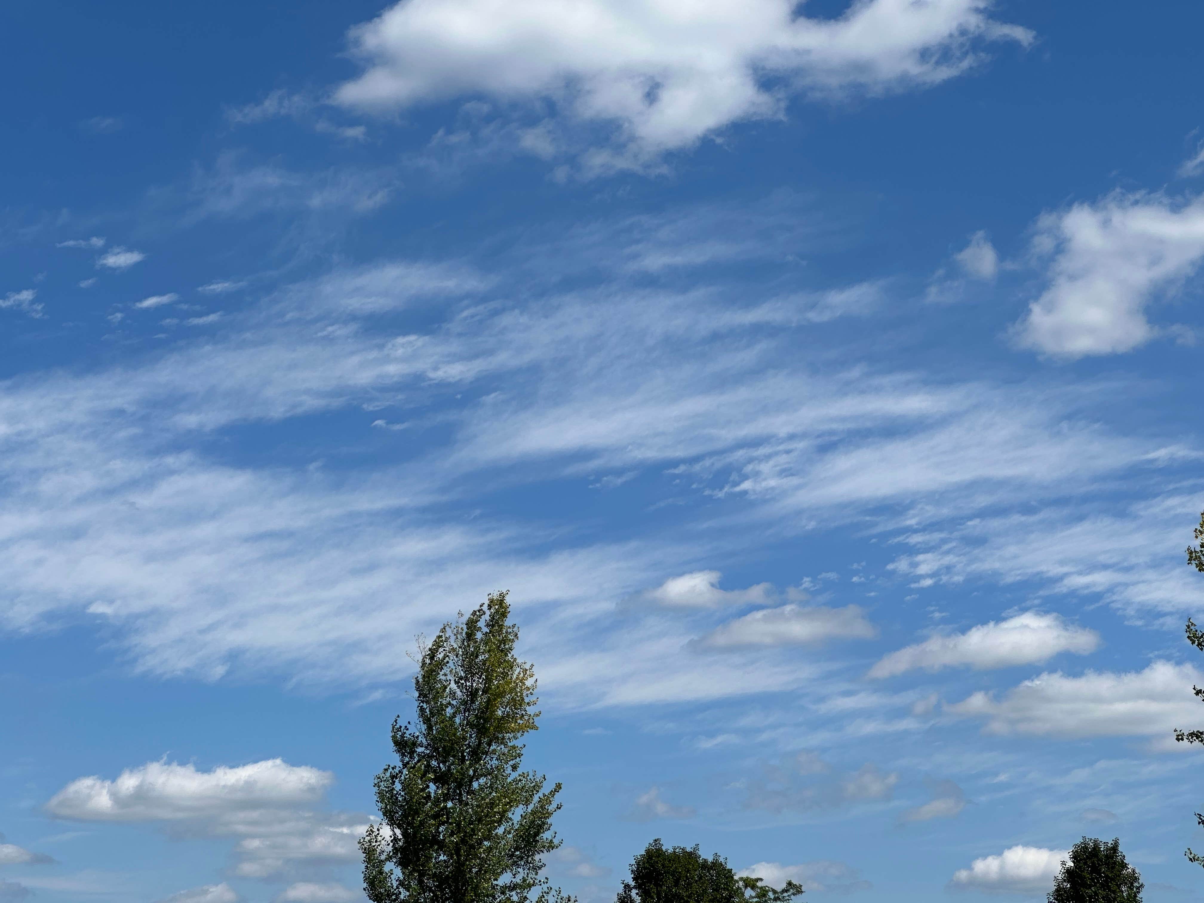 Camper-submitted photo at Ashland Huntington West KOA near Paintsville, KY