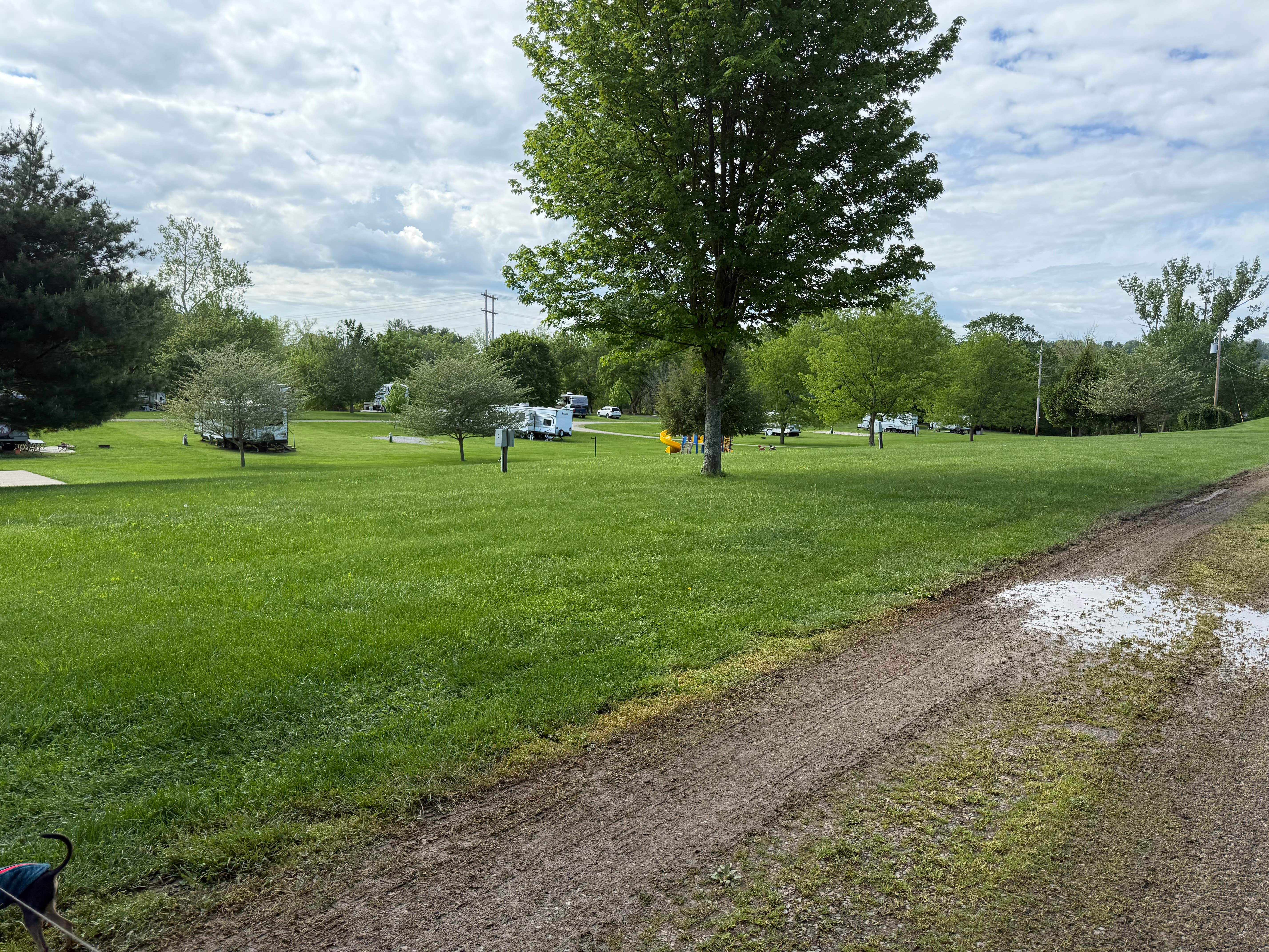 James P.'s photo of camping with pets at Ashland RV Park near Vienna, WV