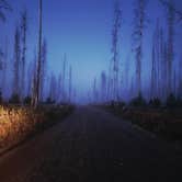 Review photo of Ashton-Flagg Ranch Road by Dana V., August 18, 2025