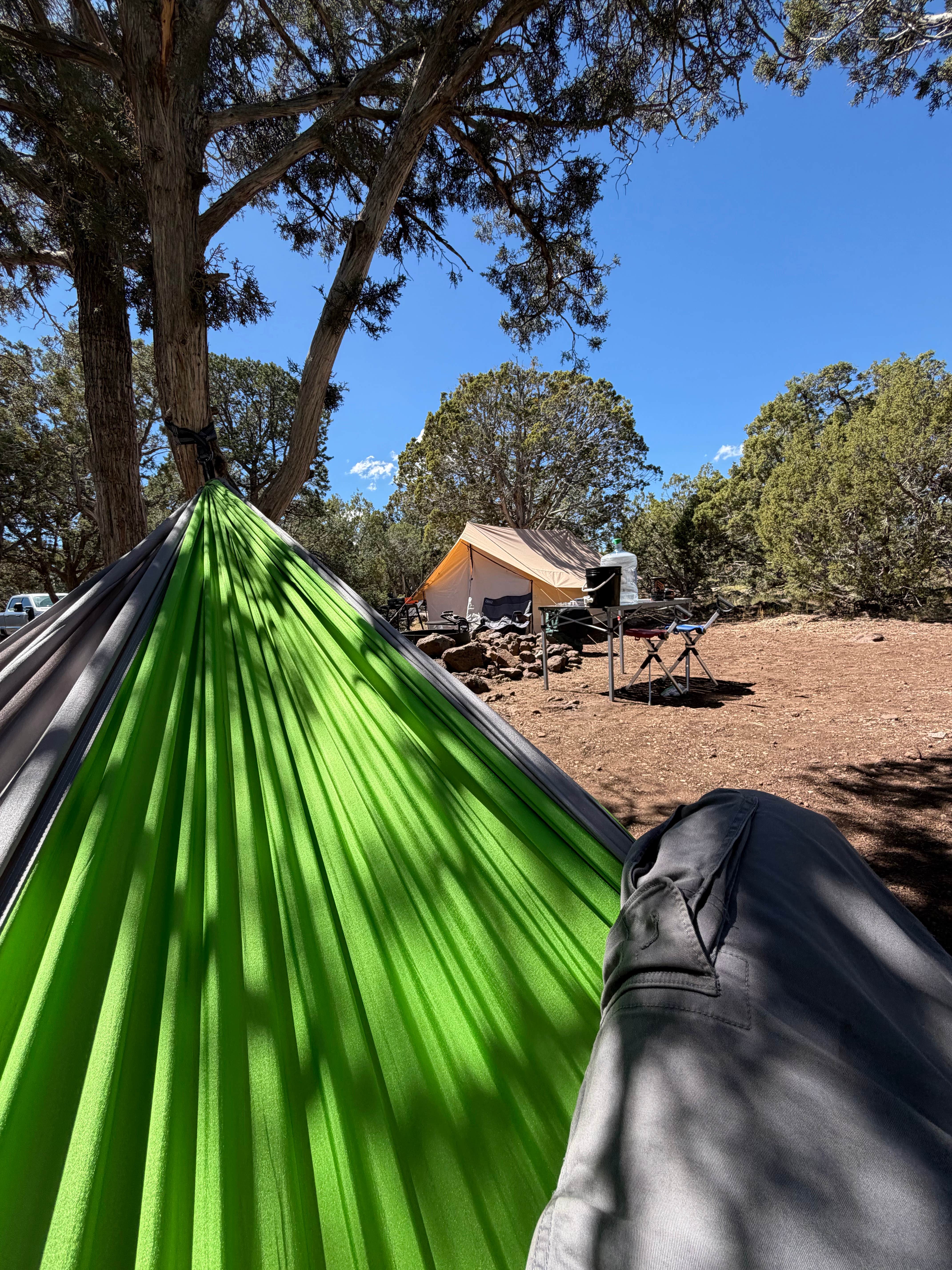 Camper-submitted photo at Ashurst Lake — Coconino National Forest Recreation near Mormon Lake, AZ