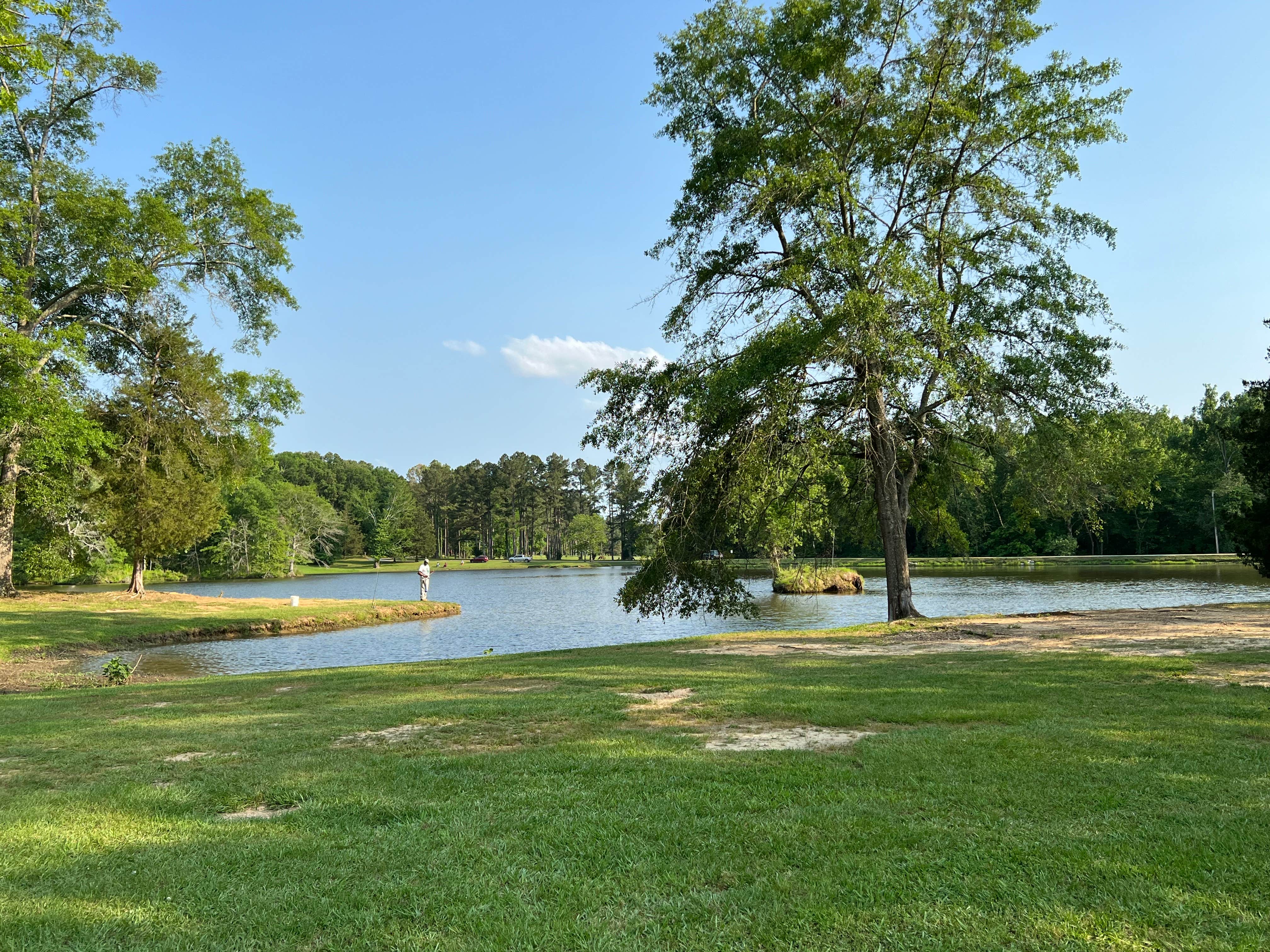 Camper submitted image from Askew's Landing RV Campground - 2