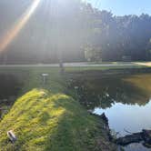 Review photo of Askew's Landing RV Campground by Zoey T., August 4, 2025