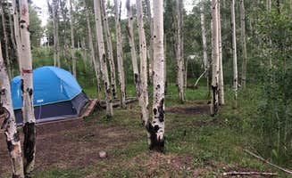 Quentin C.'s photo at Aspen Acres Campground near Rye, CO