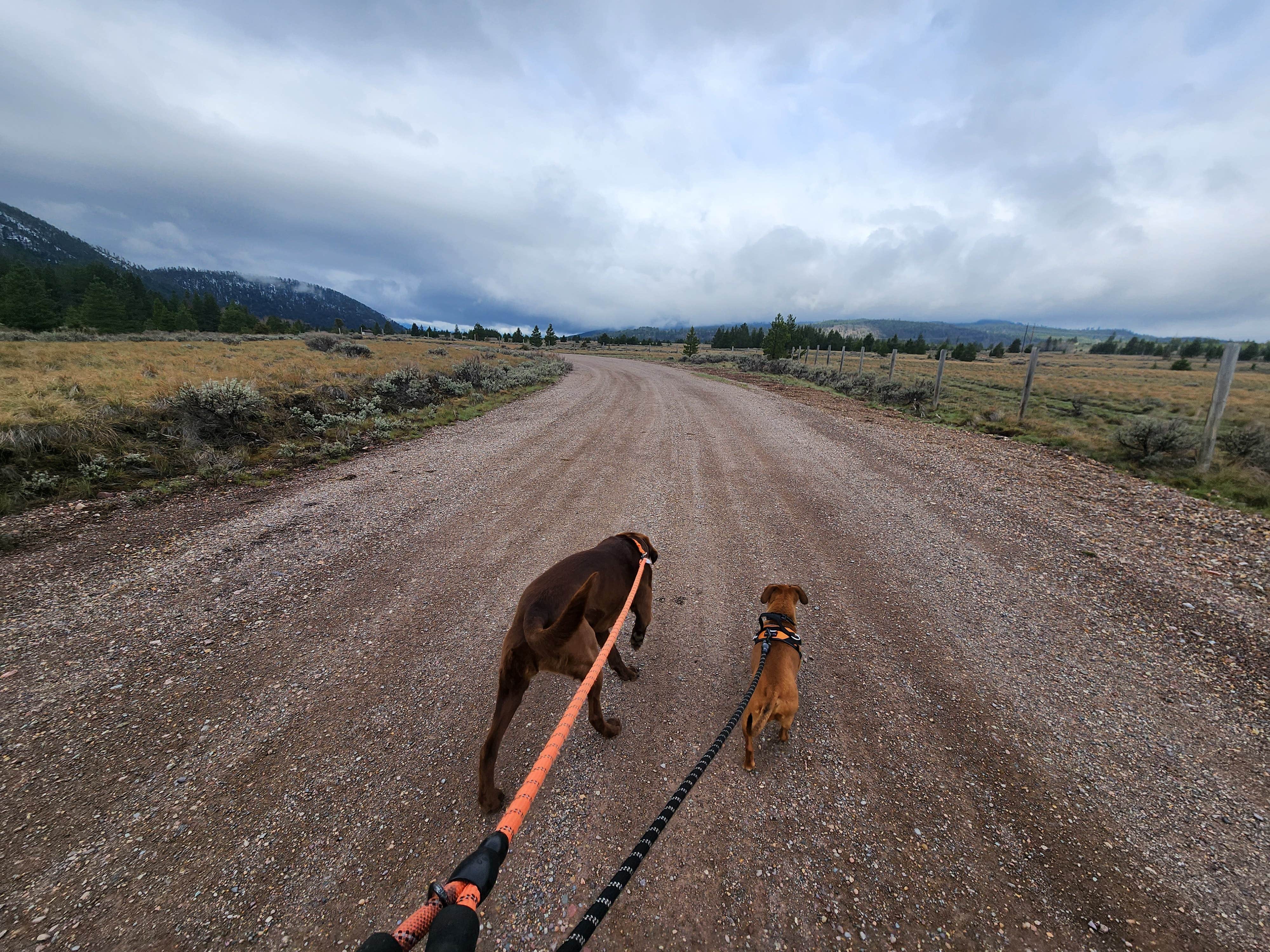 Camper-submitted photo at Aspen Grove Campground near Lincoln, MT