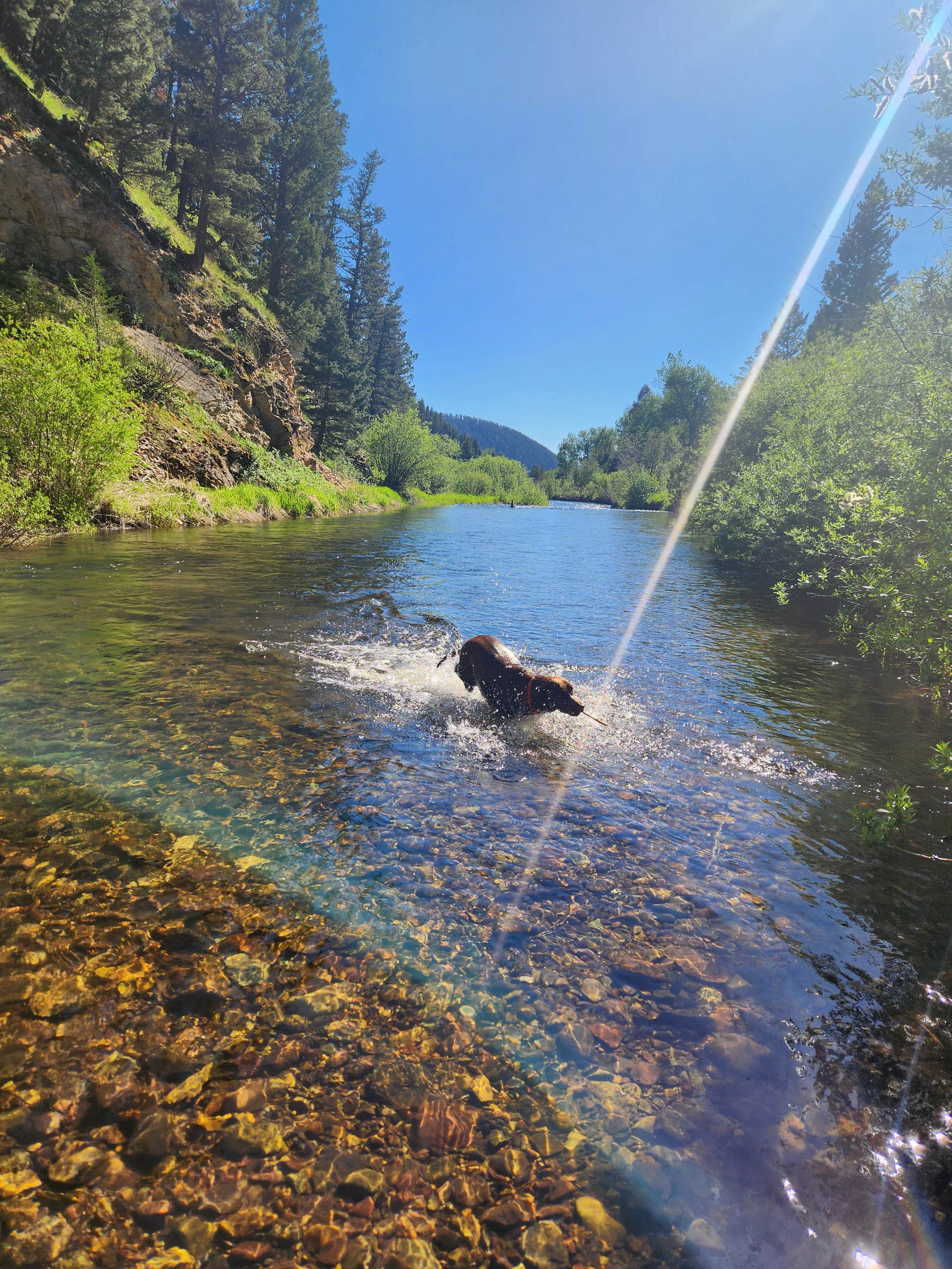 Camper-submitted photo at Aspen Grove Campground near Augusta, MT