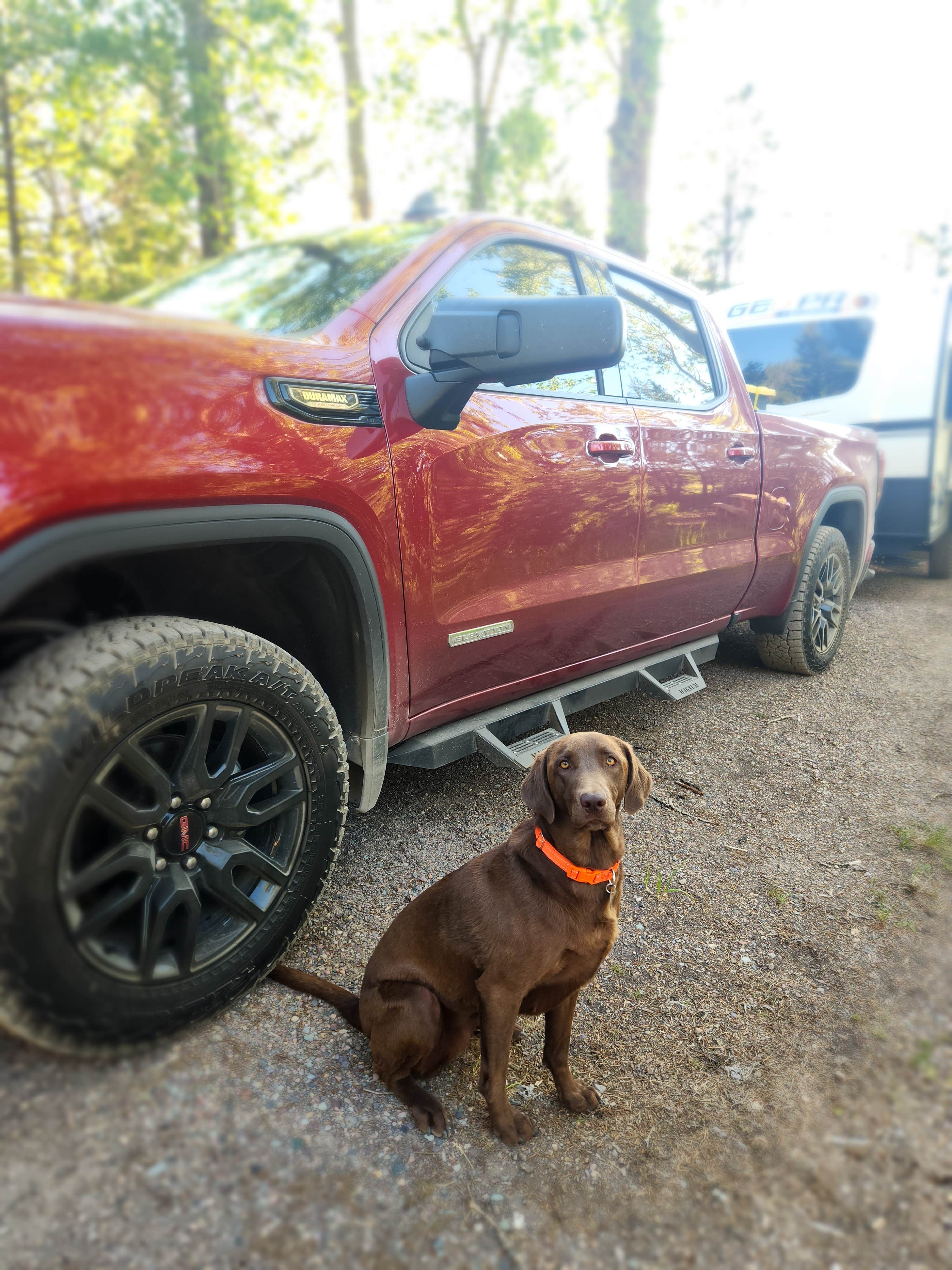 Traci B.'s photo of camping with pets at Aspen Grove Campground near Wolf Creek, MT