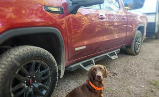 Traci B.'s photo of camping with pets at Aspen Grove Campground near Deer Lodge, MT