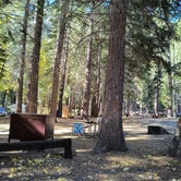 Review photo of Aspen Campground by Beth M., October 11, 2023