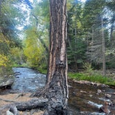 Review photo of Aspen Campground by Ian F., October 9, 2023