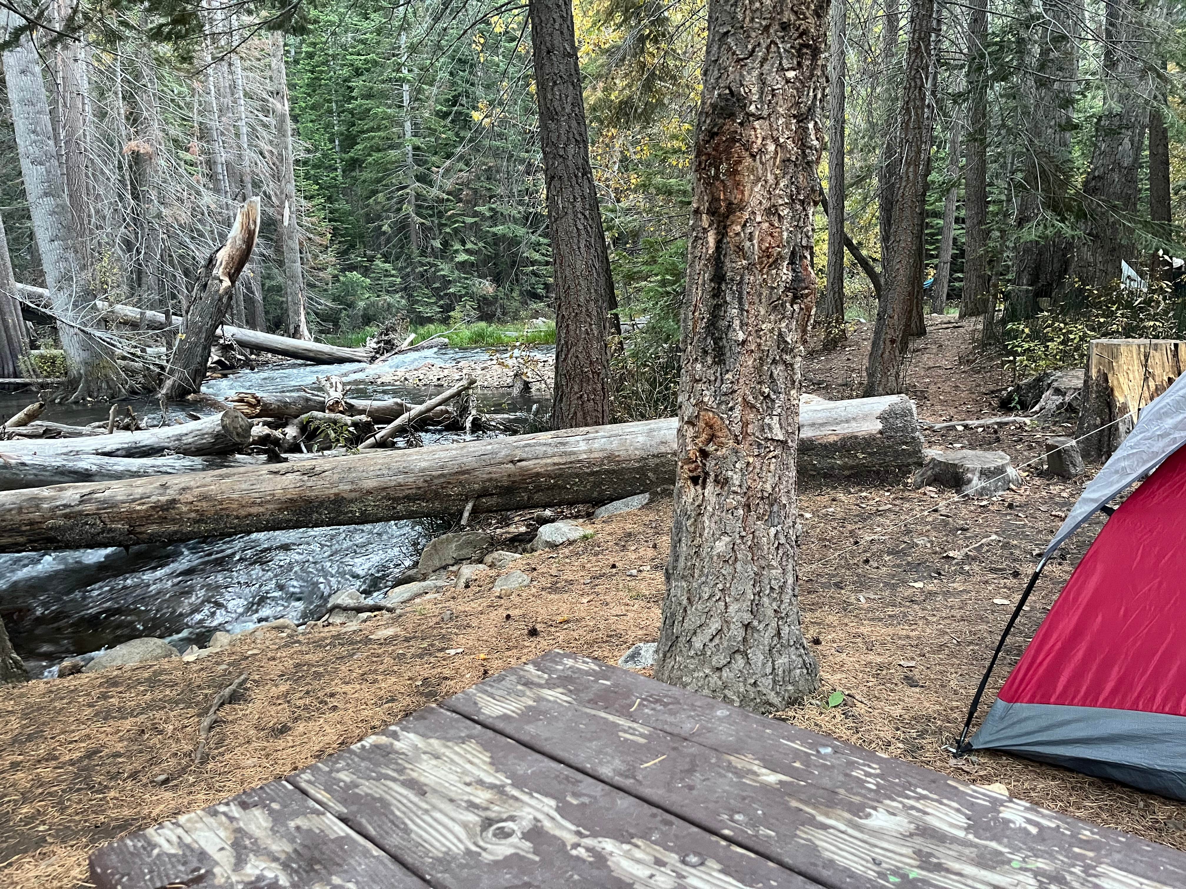 Ian F.'s photo at Aspen Campground near Lee Vining, CA