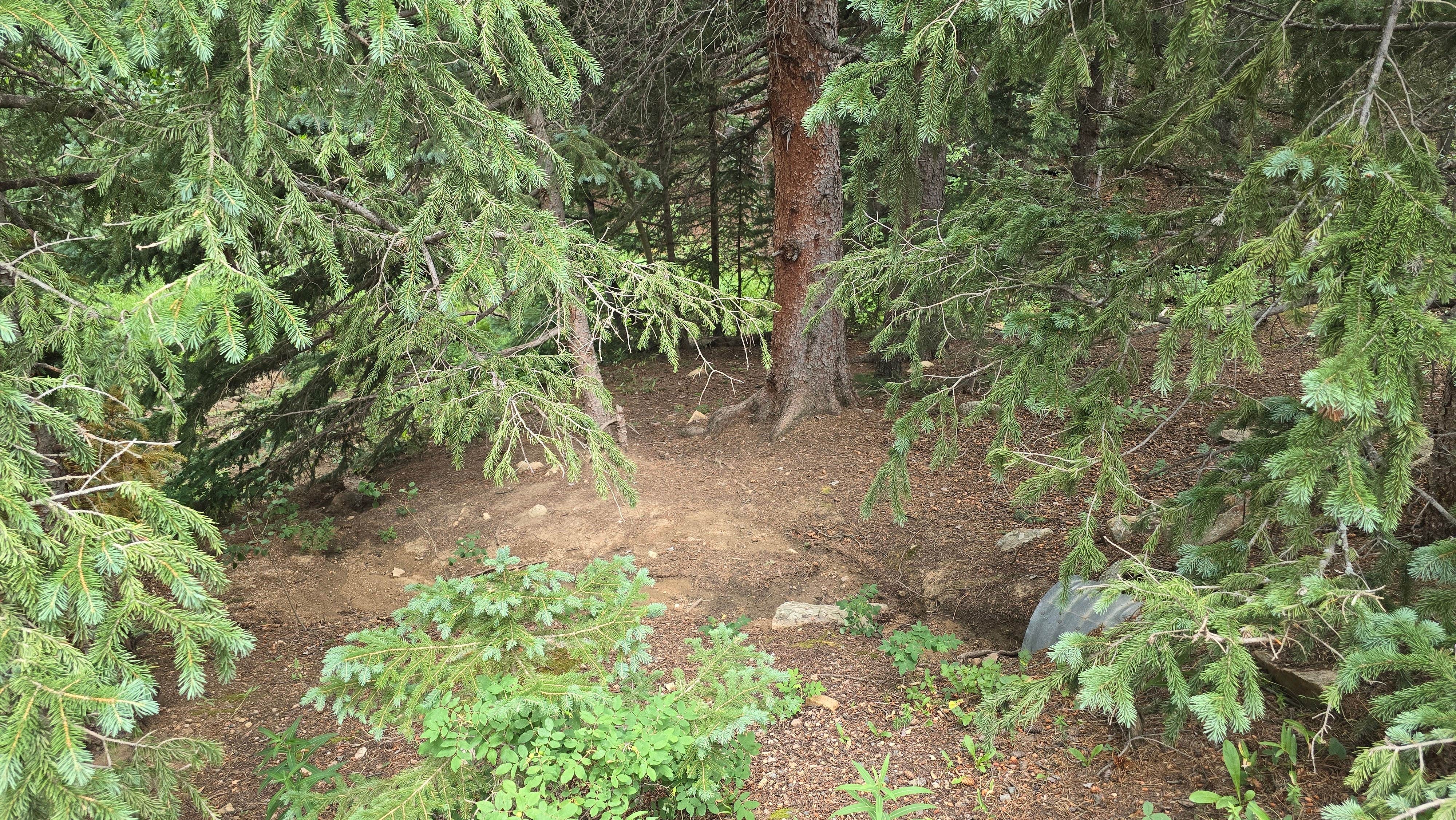 Camper-submitted photo at Aspen Meadows Campground — Golden Gate Canyon near Boulder, CO