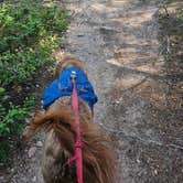 Review photo of Aspen Meadows Campground — Golden Gate Canyon by Taylor L., August 24, 2024