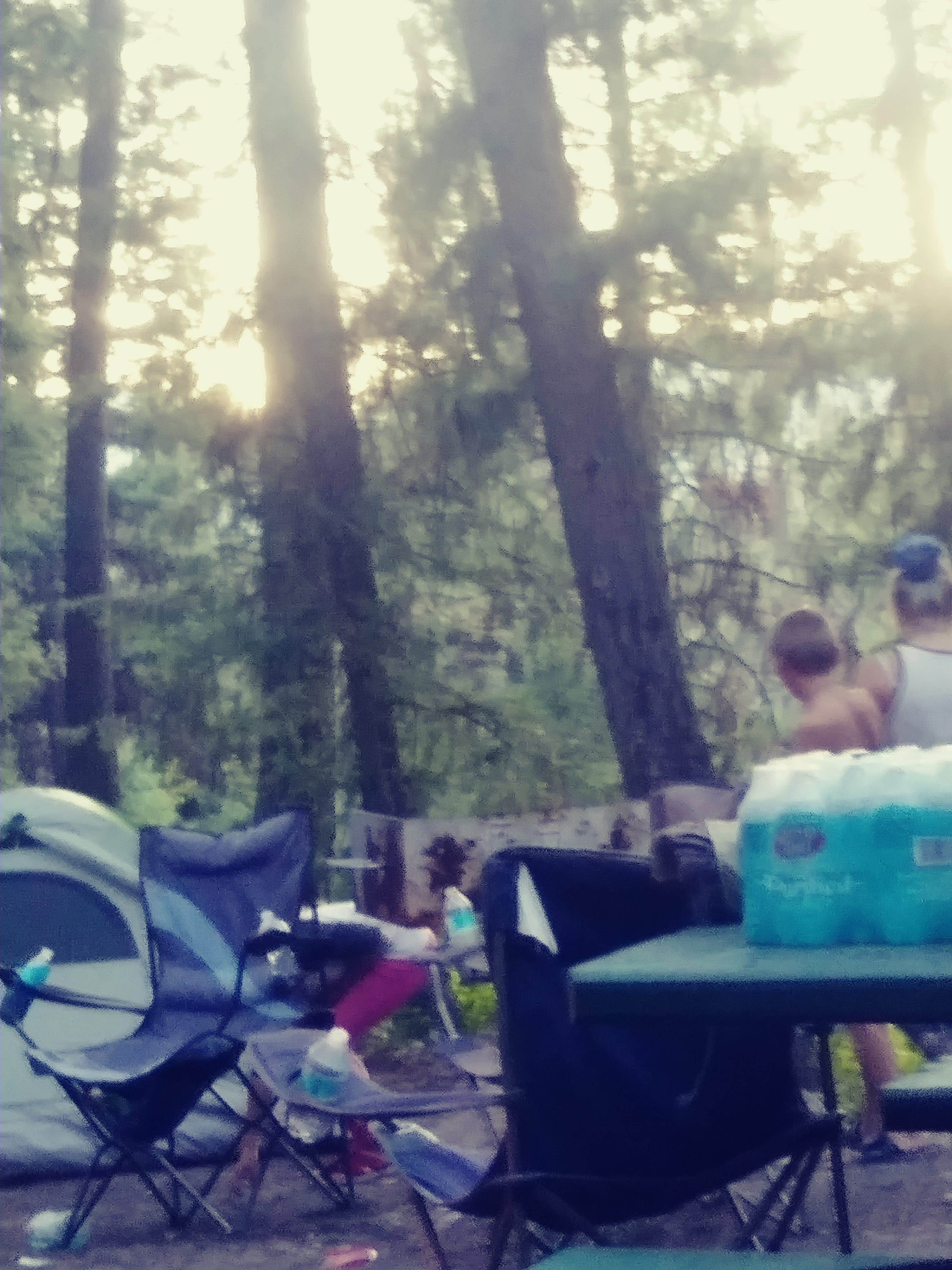 Kay's photo at Atlanta Cabin near Atlanta, ID