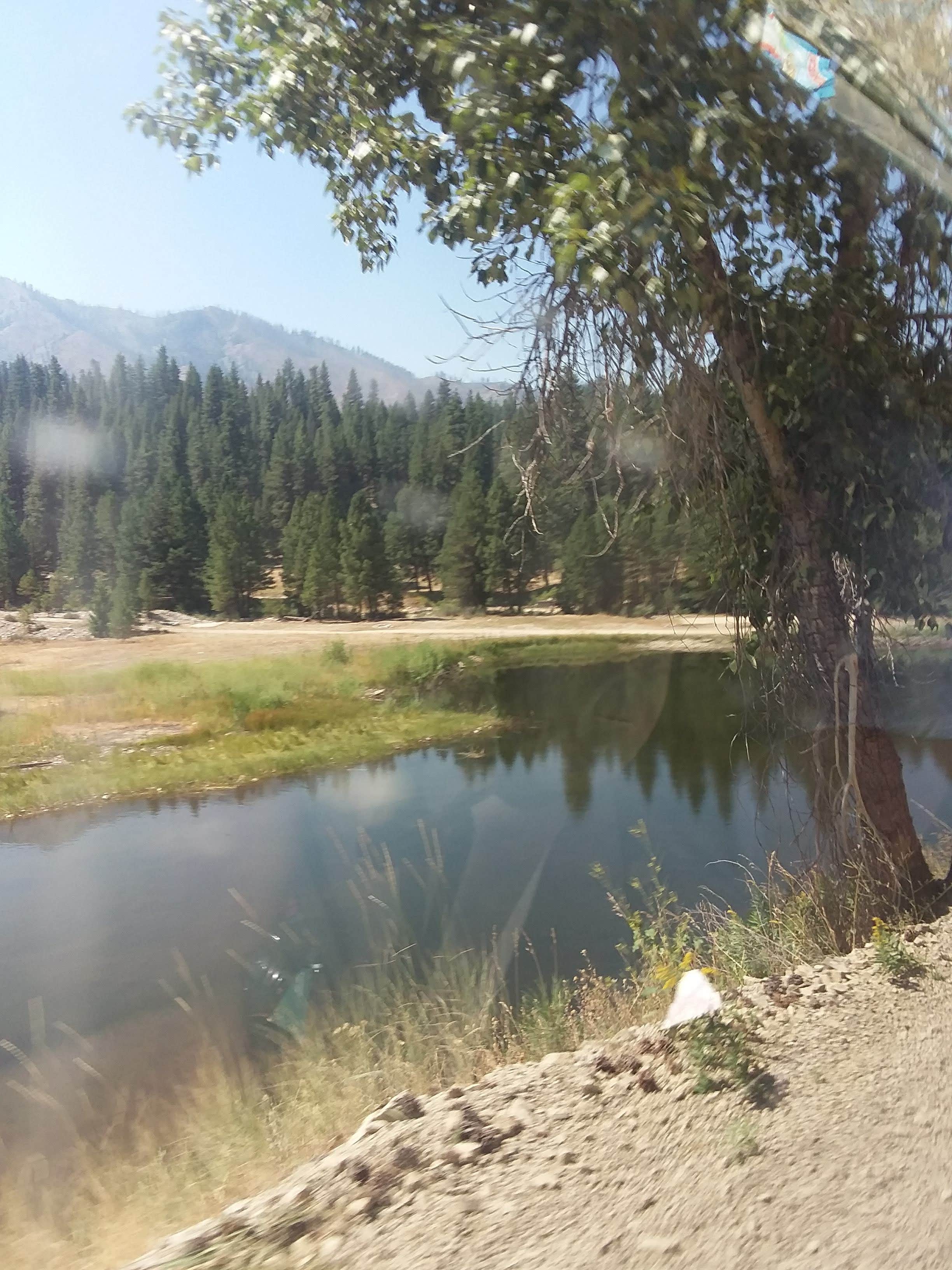 Camper submitted image from Atlanta Cabin - 4