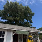Review photo of Atlantic Oaks Campground by Sherree C., July 17, 2026