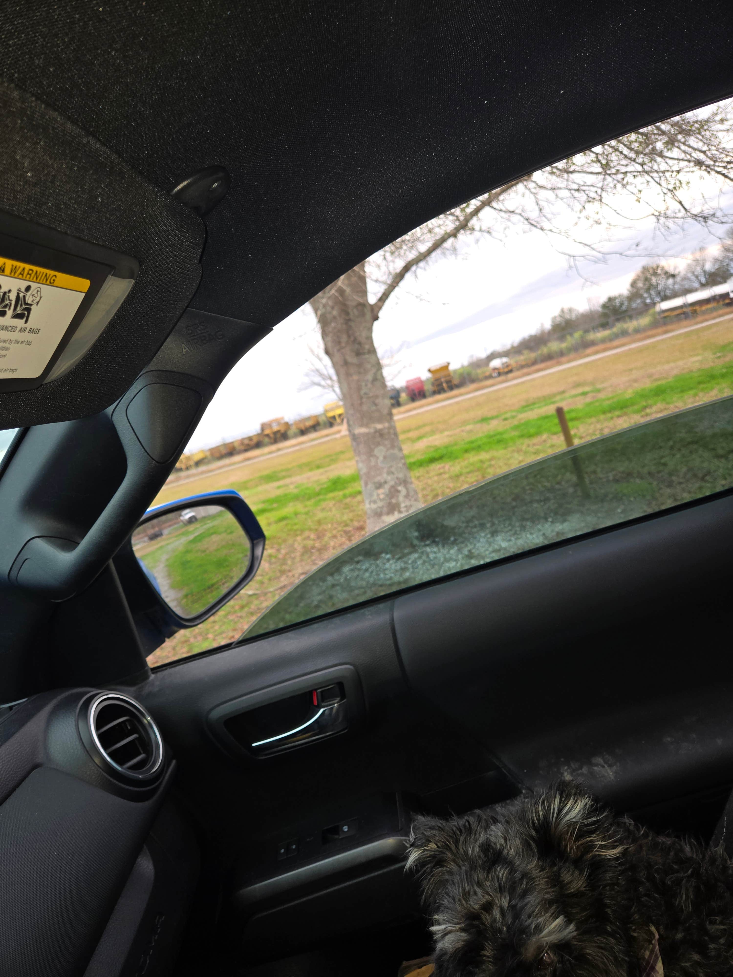 Camper submitted image from Attakapas Wildlife Management Area - 3